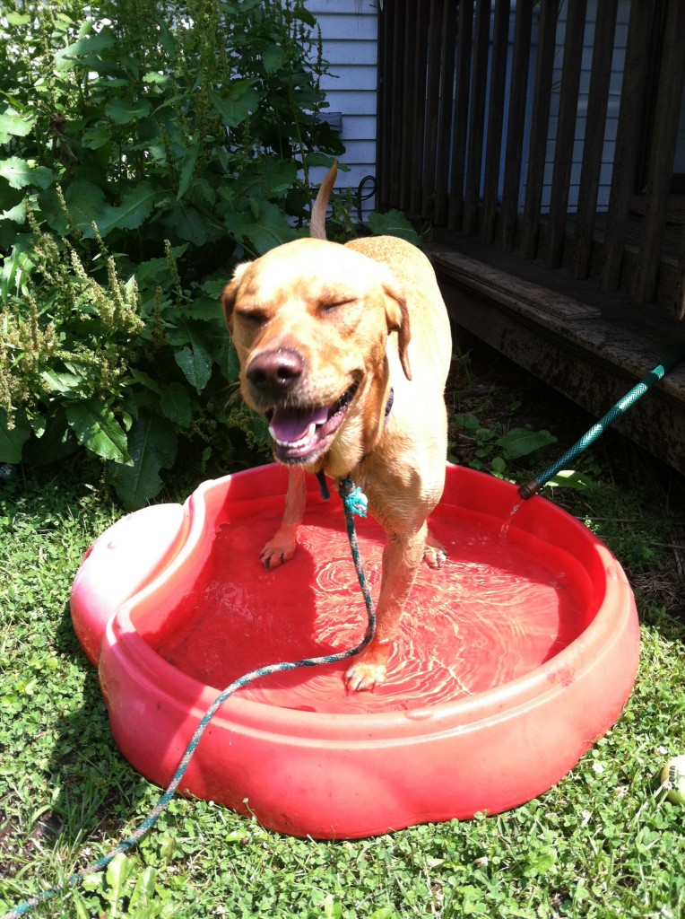 Griffey loves the pool!